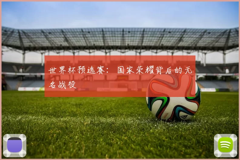 世界杯预选赛:国家荣耀背后的无名战役