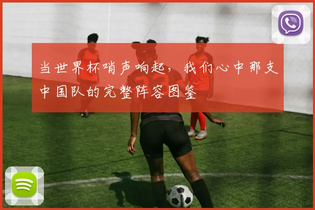 当世界杯哨声响起,我们心中那支中国队的完整阵容图鉴