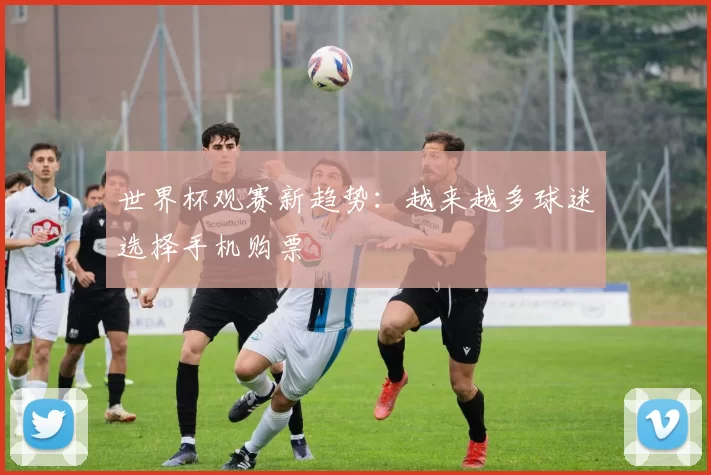 世界杯观赛新趋势:越来越多球迷选择手机购票