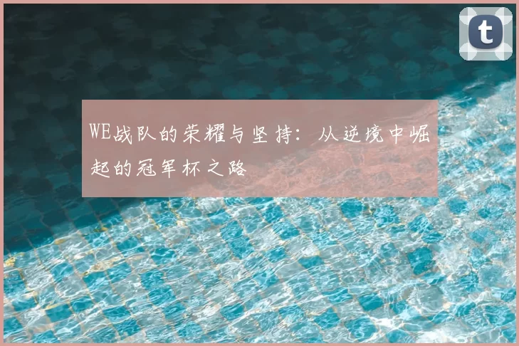 WE战队的荣耀与坚持:从逆境中崛起的冠军杯之路