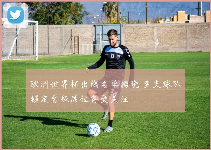 欧洲世界杯出线名单揭晓 多支球队锁定晋级席位备受关注