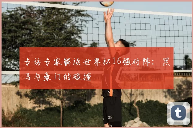 专访专家解读世界杯16强对阵：黑马与豪门的碰撞