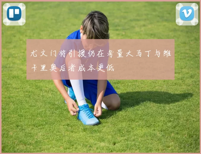 尤文门将引援仍在考量大马丁与维卡里奥后者成本更低