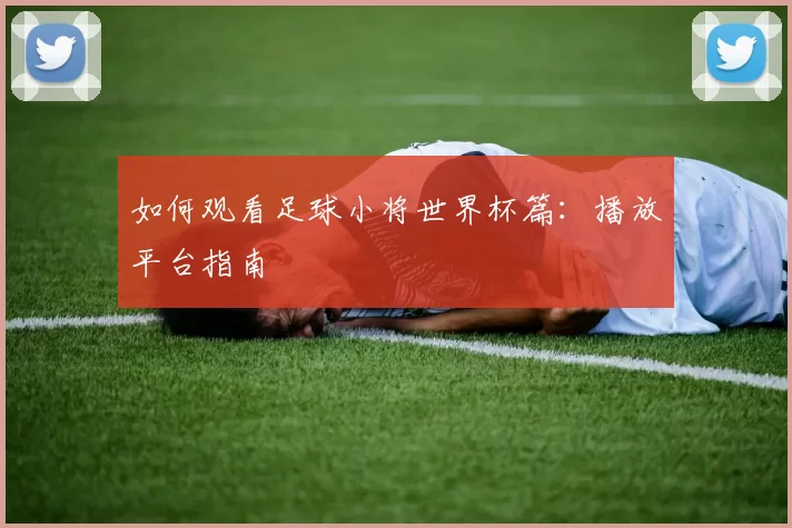 如何观看足球小将世界杯篇：播放平台指南
