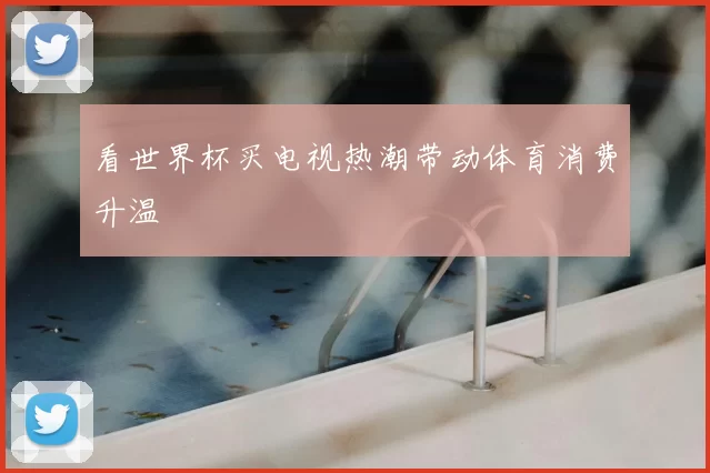 看世界杯买电视热潮带动体育消费升温
