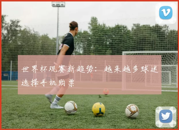 世界杯观赛新趋势:越来越多球迷选择手机购票