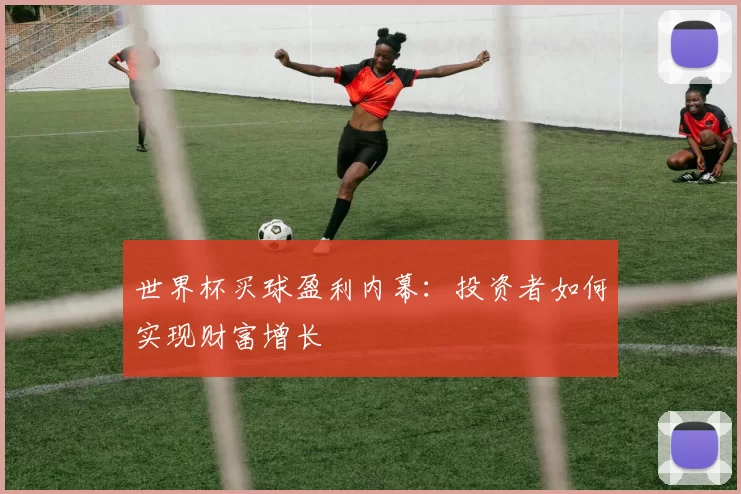 世界杯买球盈利内幕：投资者如何实现财富增长