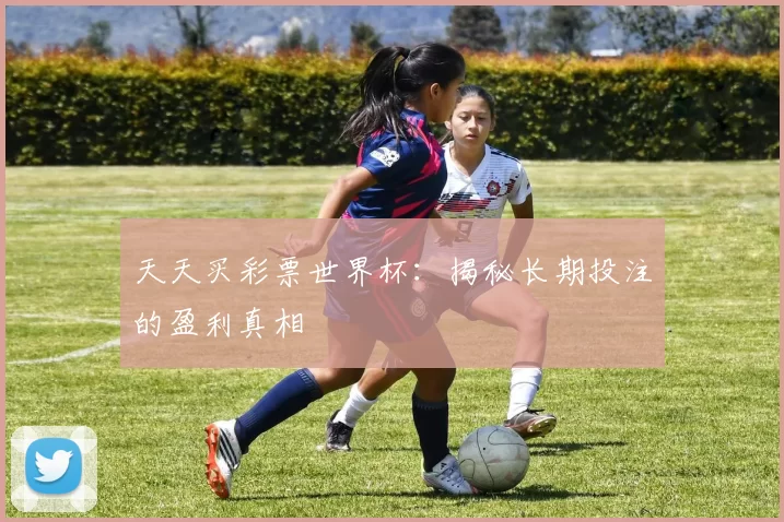 天天买彩票世界杯:揭秘长期投注的盈利真相